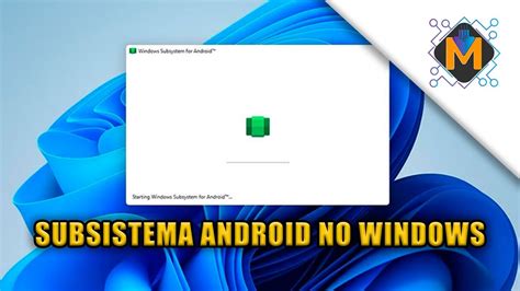 subsistema windows para android (wsa) - Windows Subsystem for Android unable to connect to internet